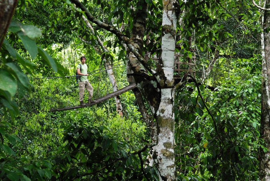 Walking through the trees is one of the best things to do in Peru