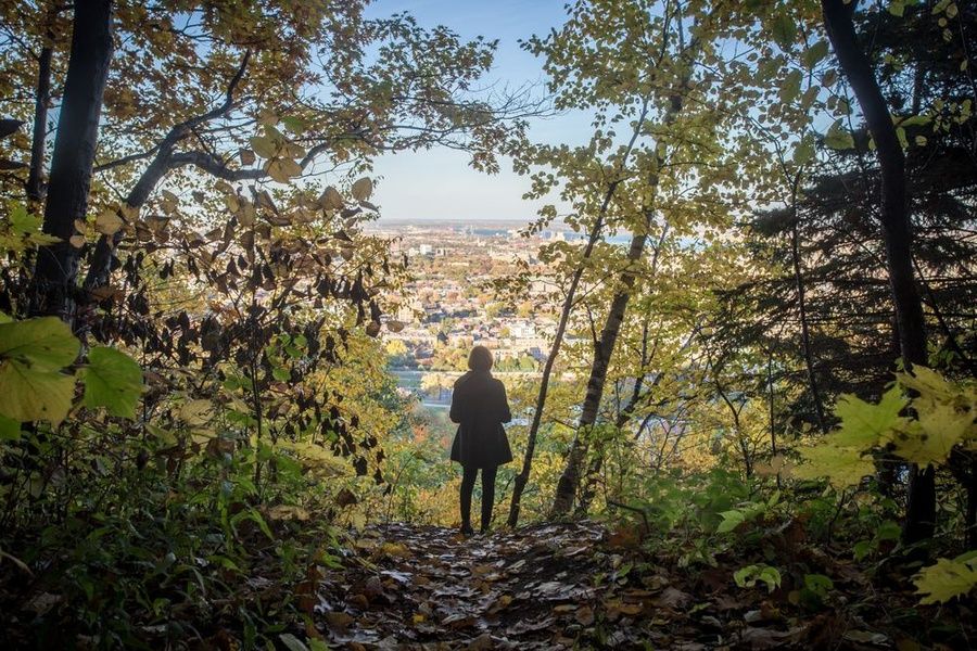 Parc du Mont Royal is one of the top places to visit in Montreal