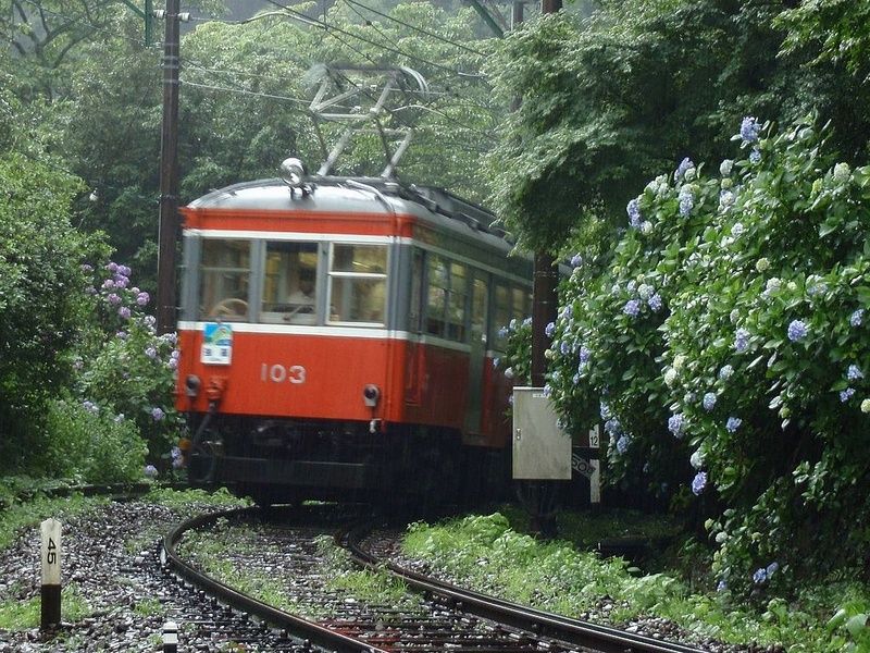 Taking the Tozan Train is one of the things to do in Hakone