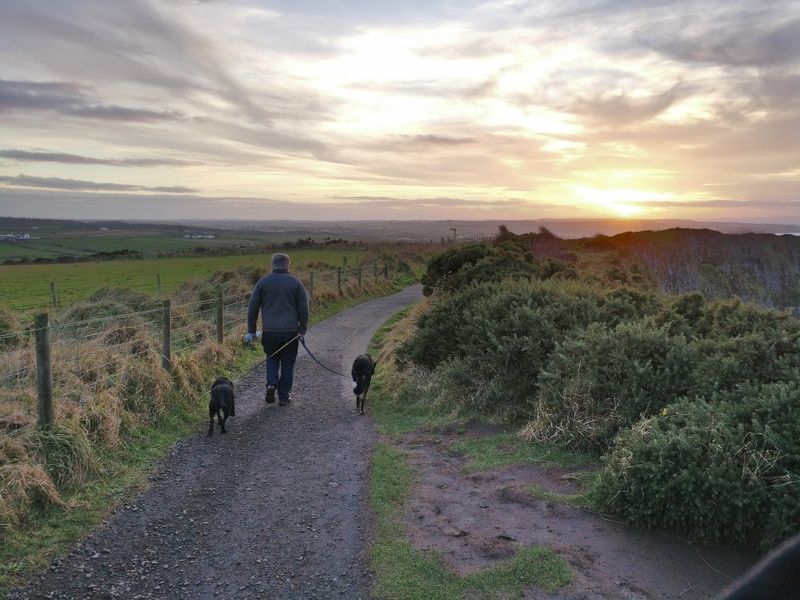 Walking Trails Things to Do in Shannon Ireland