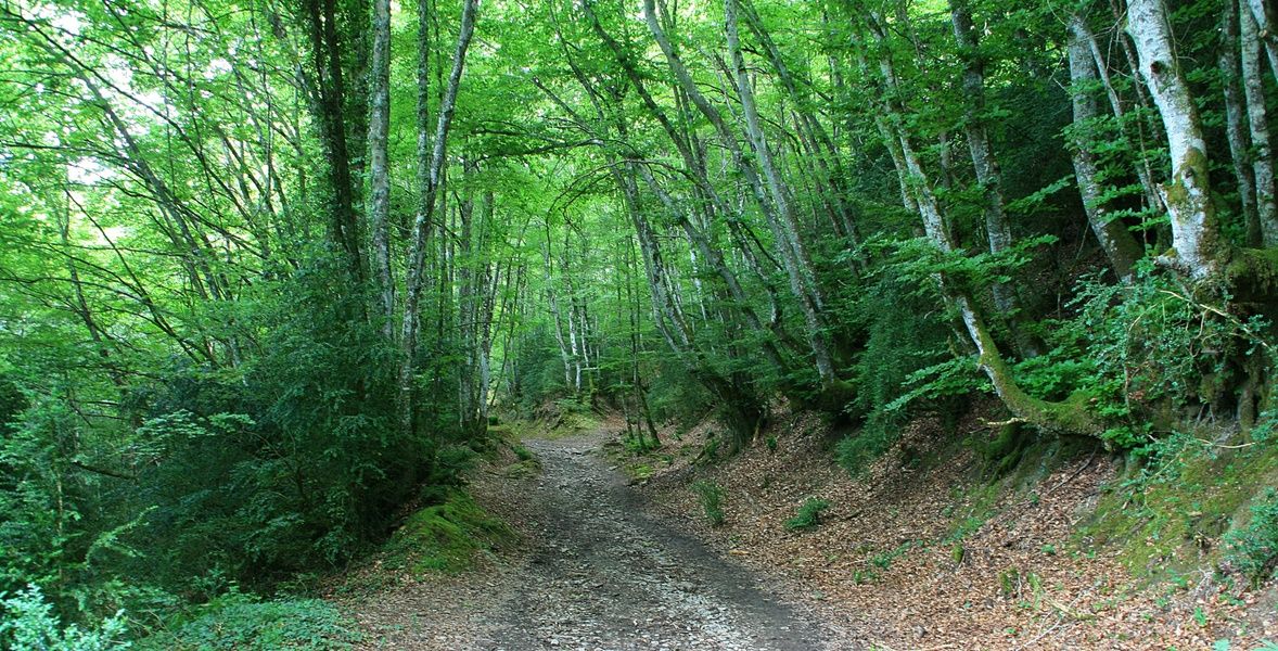 Camino de Santiago is an awesome place to visit in Spain