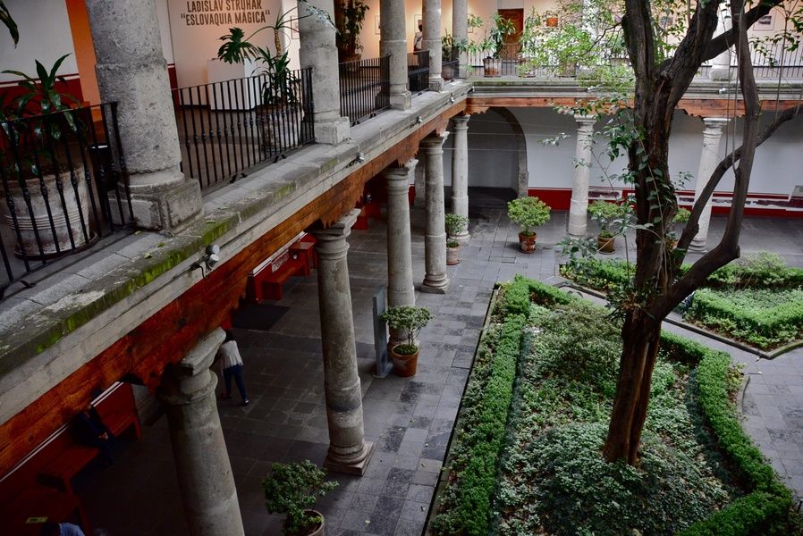 For a unique Mexico City tour, think about taking the NYT's "See Everything" tour