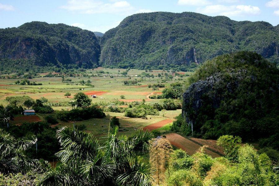 greenspace in cuba