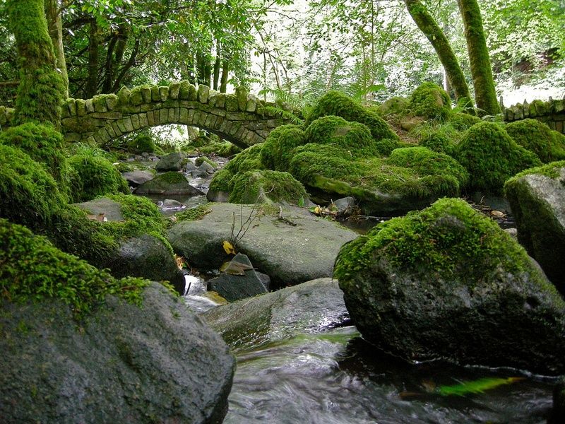 Finding serenity at Kilfane Glen is an amazing thing to do in Kilkenny Ireland