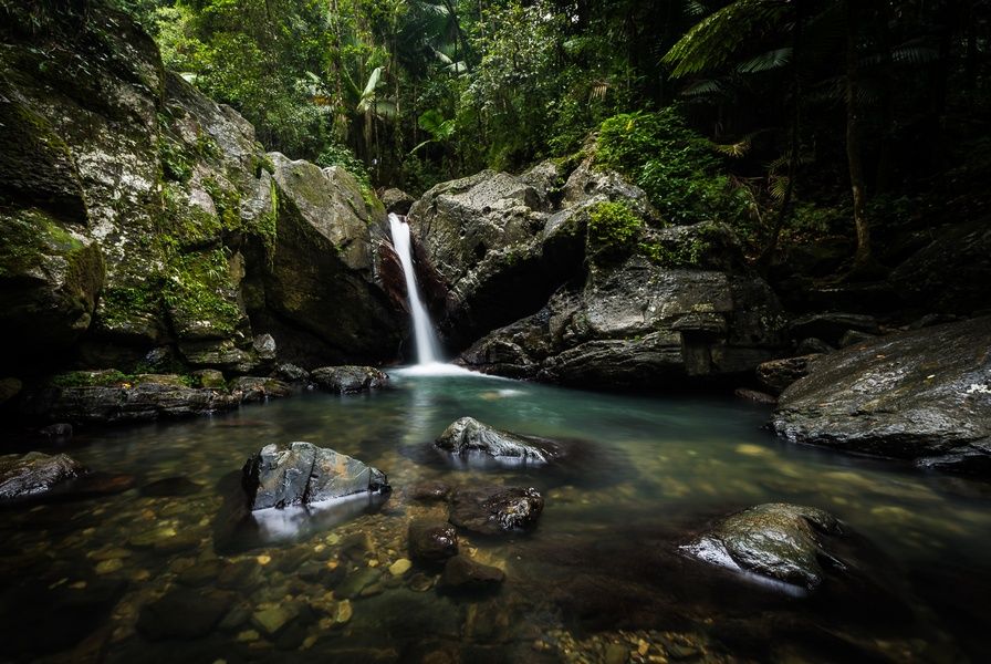 El Yunque Fun Things to Do in Puerto Rico