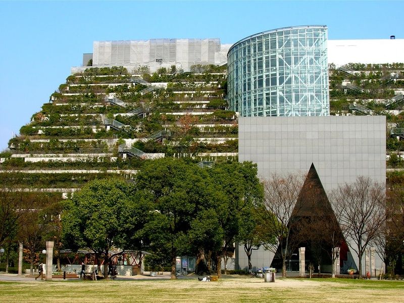 Climbing the gardens of ACROS is one of the Things to do in Fukuoka Japan