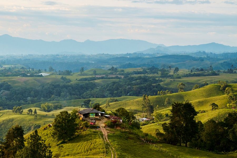 landscape of Salento Colombia