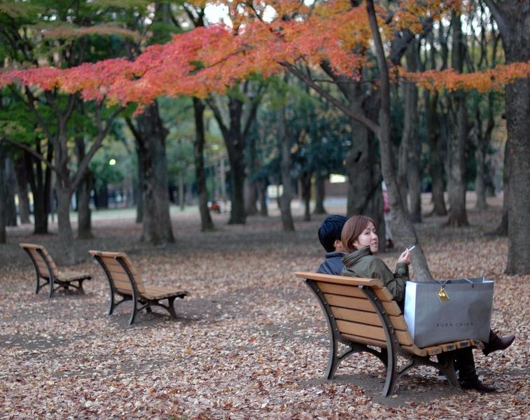 A first step of planning at Tokyo Honeymoon is deciding when to visit