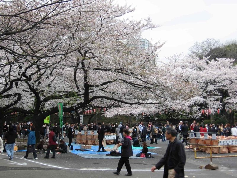 Ueno Tokyo Japan where to stay