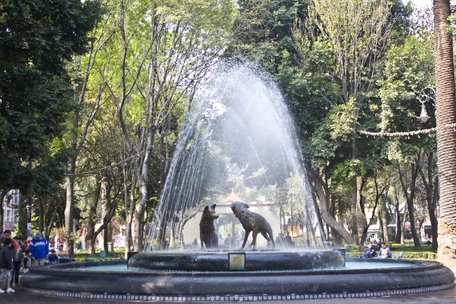 TripAdvisor reviews of Mexico City highlight Coyoacan and Museo Frida Kahlo