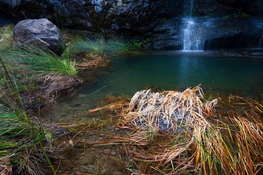 El Charco Azul is one of the best Puerto Rico attractions