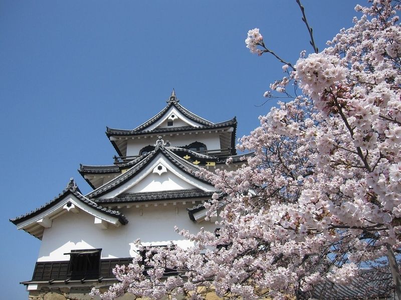 best time to visit japan in the spring