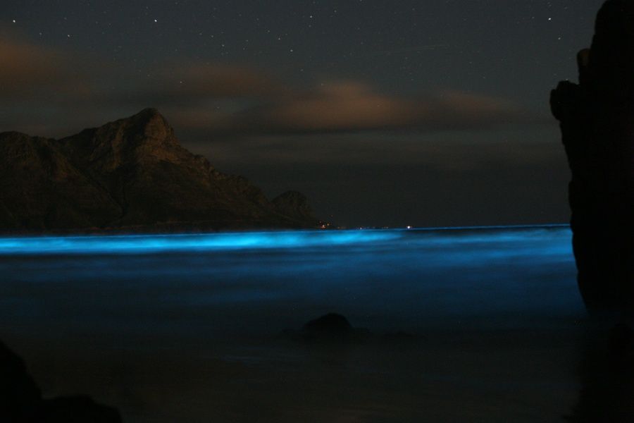 Mosquito Bay is one of many Puerto Rico tourist attractions