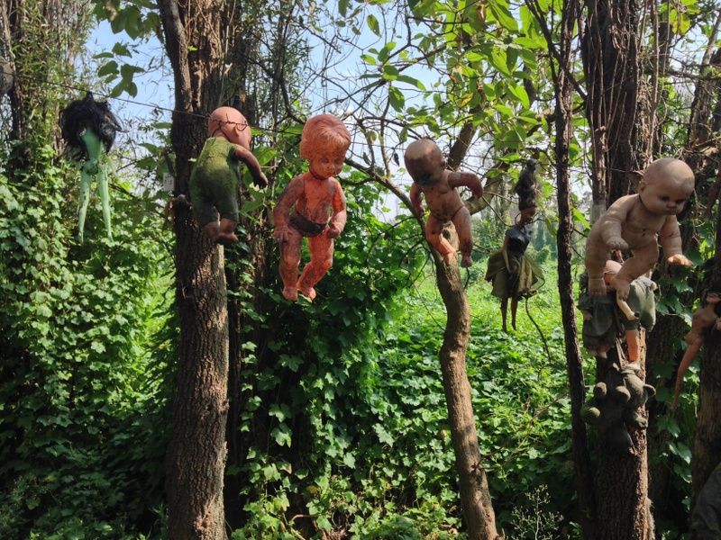 The Island of Dolls is one of the things to see in Mexico City