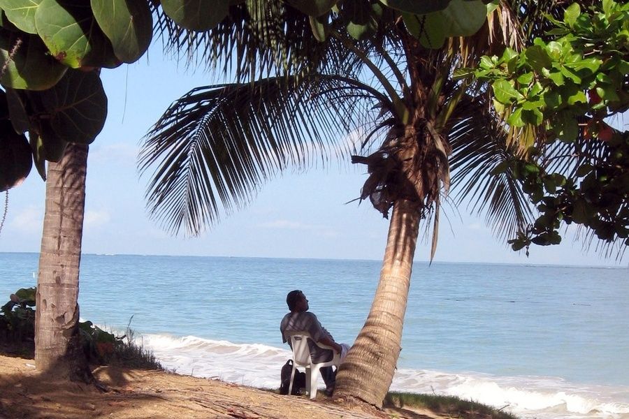Ocean Park Best Places to Stay in San Juan Puerto Rico