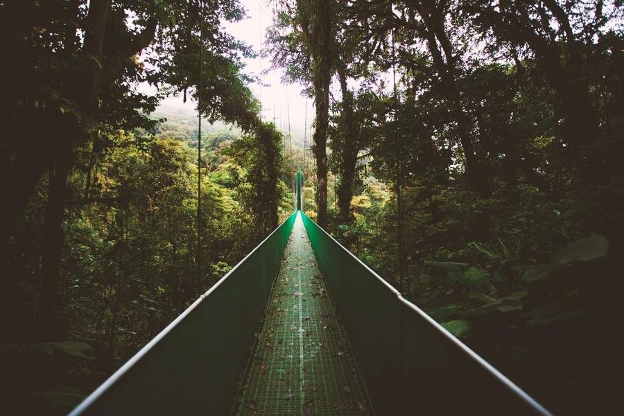 Monteverde Cloud Reserve Costa Rica Sustainable Travel