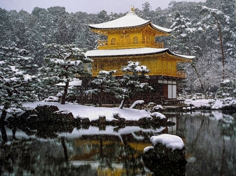 Storm blankets Tokyo with a year's worth of snow in a day