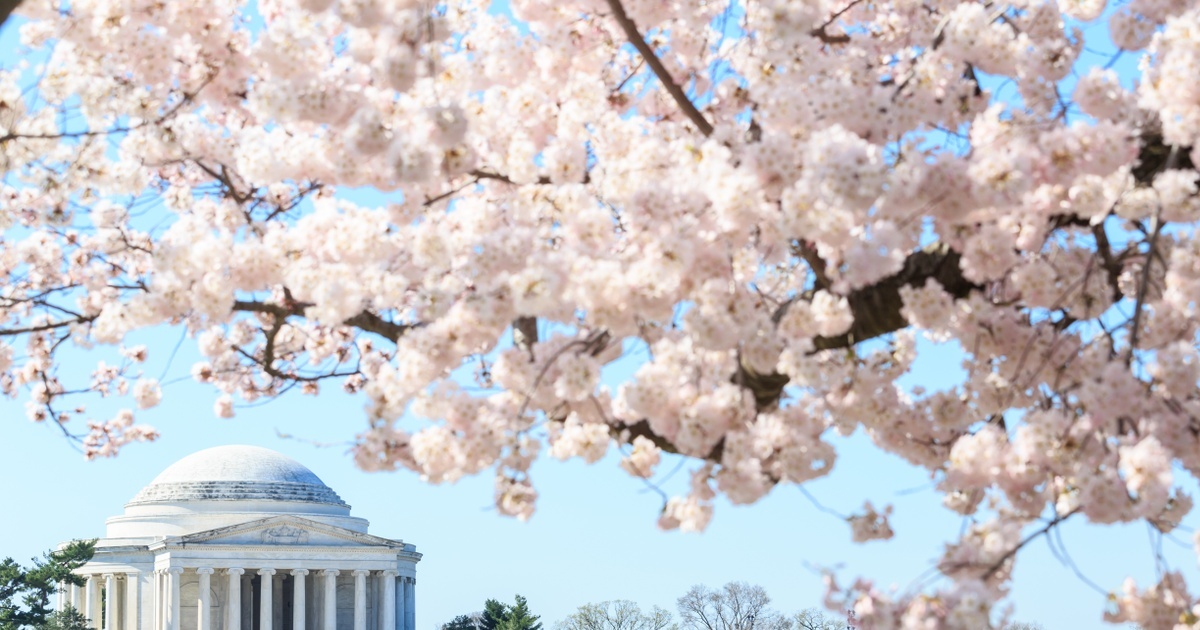 National Parks Virtual Field Trip