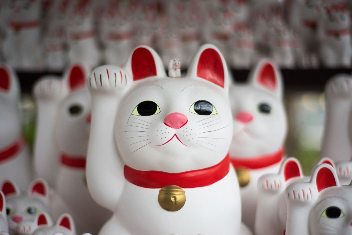 Discover the Quirky Charms of Japan