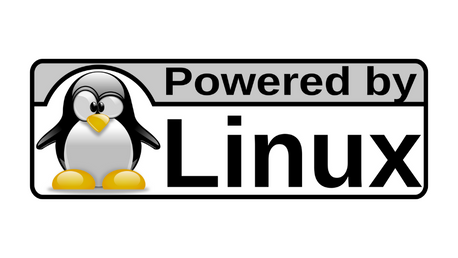 10 Most Popular Linux Distros for 2022