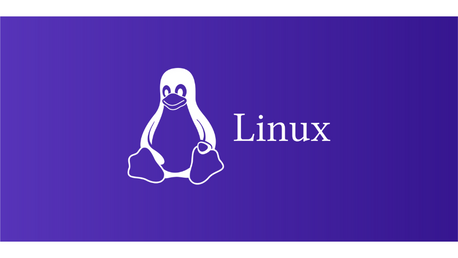 10 most popular Linux distributions, and why they exist