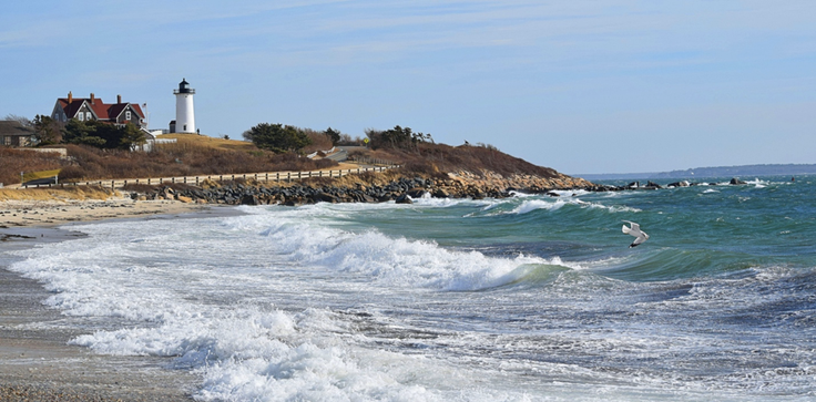 Cape Cod Virtual Field Trip