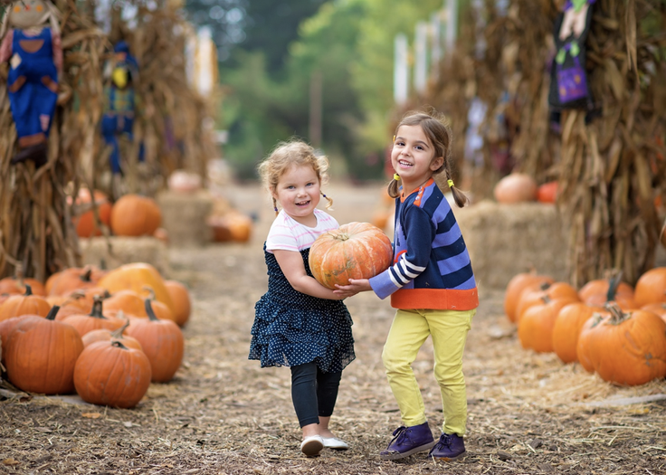 Pumpkin Patch Virtual Adventure