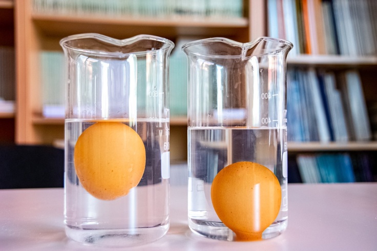 eggs in glass beakers