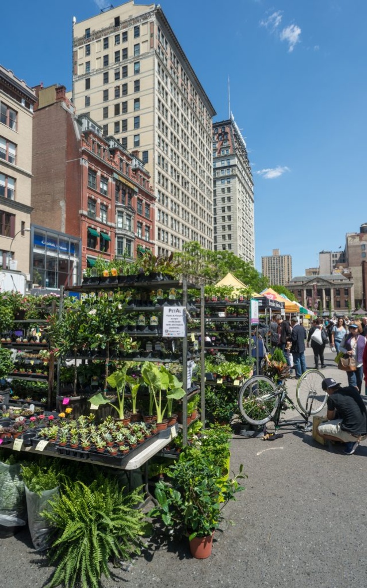 union square farmers market