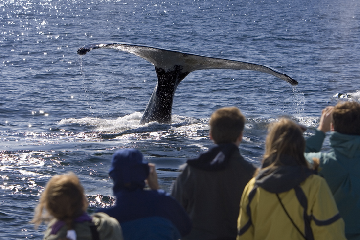 Cape Cod Virtual Field Trip