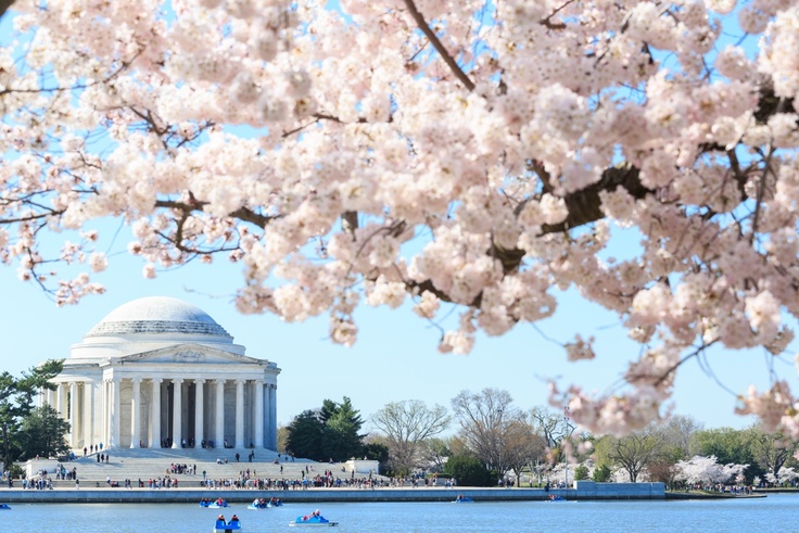 National parks Virtual Field Trip