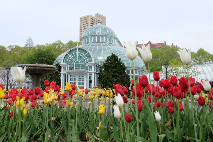 brooklyn botanical garden