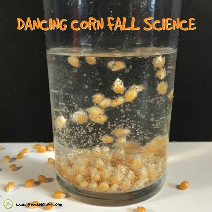 Fall Science Experiments