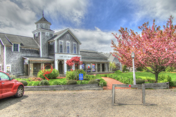 Cape Cod Virtual Field Trip