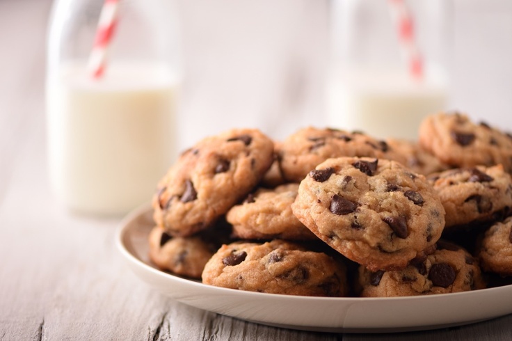 plate of chocolate chip cookies