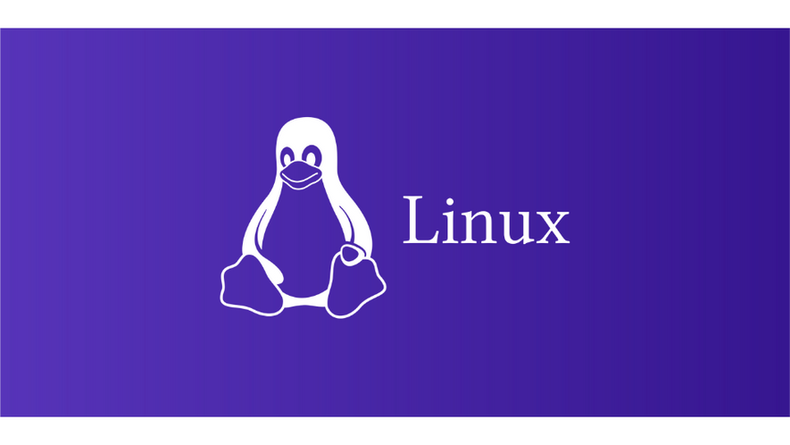 10 most popular Linux distributions, and why they exist