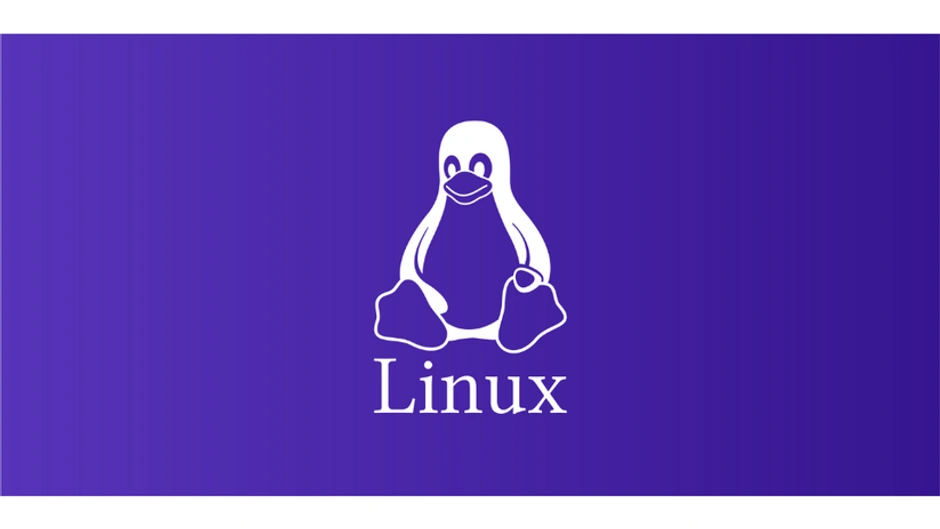 Linux Distributions and the Timelines of their Systems.